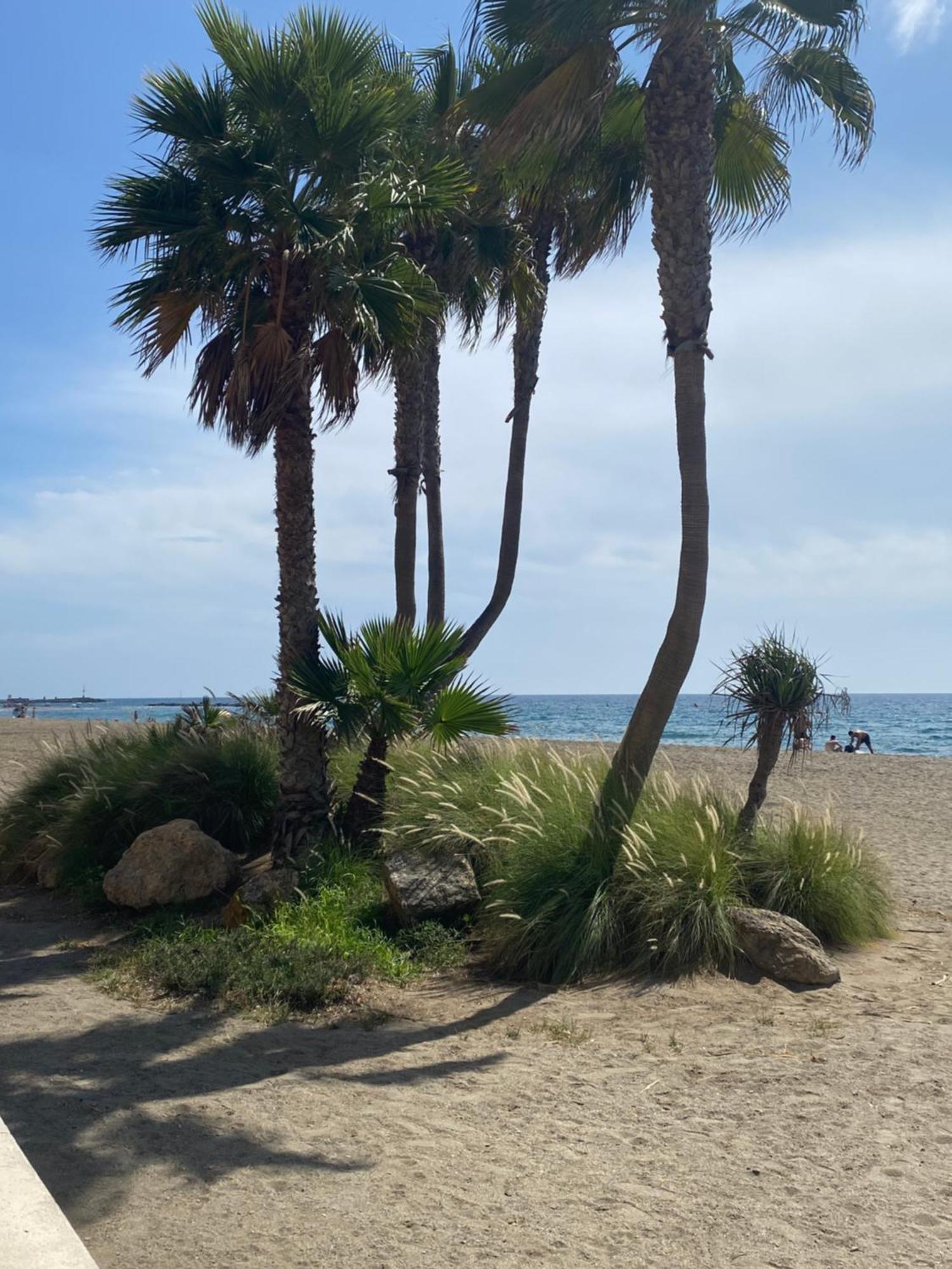 Almeria Playa Zapillo 외부 사진